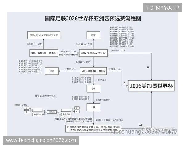 2026年世界杯亚洲名额分配方案全解析,影响亚洲足球未来发展的关键因素
